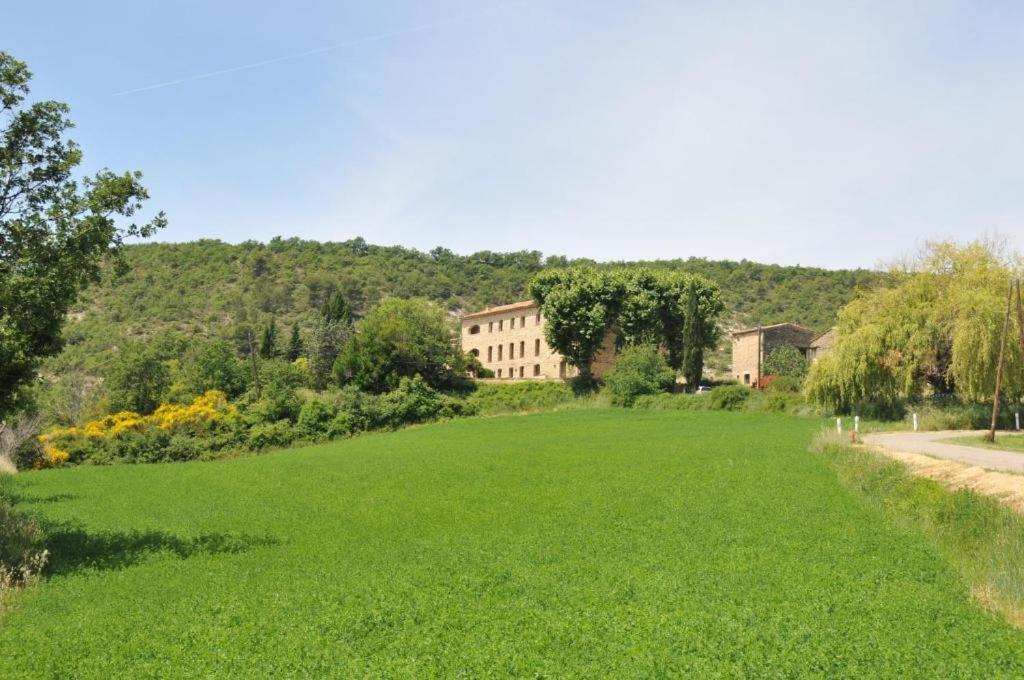 Appartement 3P Luberon Viens Exterior photo
